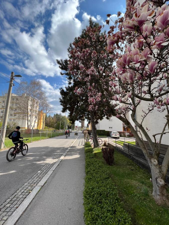 Friendly Space Apartment Graz Zewnętrze zdjęcie